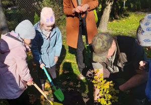 Alicja i Oliwia pomagają sadzić drzewko w ogrodzie przedszkolnym. Dziewczynki zasypują korzenie ziemią z wykorzystaniem łopatek. Obok stoi Pani edukator, a Pan podleśniczy przykucął przy sadzonce buka.