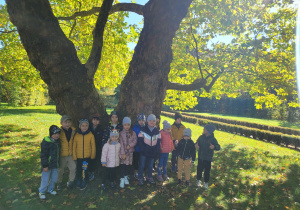 Dzieci z grupy zgromadzone wokół największego drzewa z parku