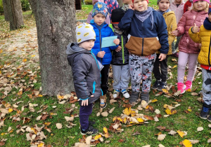 Przedszkolaki zebrane na przedszkolnym placu zabaw podążają śladami wyznaczonymi przez strzałki na ziemi ułożonymi z jesiennych liści.