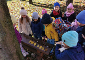 Przedszkolaki stojąc przy ławce wykonali zadanie nr 3 jakim było znalezienie i przyniesienie 7 kasztanów i 7 liści.