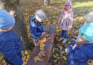 Oliwier i Oliwia wykonali zadanie 4, które polegało na znalezieniu i przyniesieniu 7 liści i 7 żołędzi. Liście i żołędzie leżą ułożone na ławce.