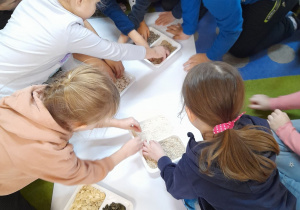 Dzieci siedzą na dywanie i dotykają ziarna przygotowane do wypełnienia woreczków: ryż, kasza, groch, fasola, słonecznik, pestki dyni.