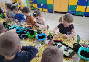 Dzieci z grupy siedzą przy stole, na którym widać miseczki z ziemią, piaskiem i kolorowymi kamykami.