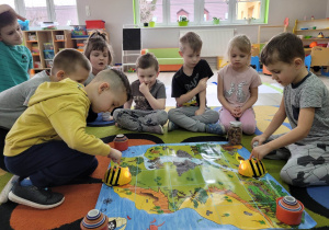 Dzieci z grupy Biedronek siedzą przed planszą „Mapa skarbów”. Antoś i Eryk programują Bee Boty tak by dotarły one w konkretne miejsce na planszy