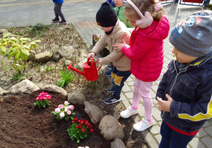 Antek podlewa czerwoną konewką posadzone kwiaty. Pomaga mu w tym Zuzia a obok stoją: Witek i Kamil.