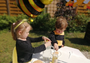 Zuzia i Staś wykonują nektar pszczeli.