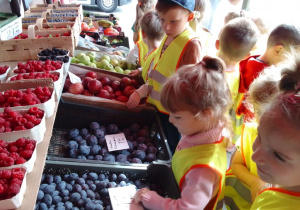 Dzieci w kamizelkach odblaskowych obserwują owoce wyłożone w skrzynkach i łubiankach.