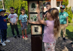 Grupka dzieci stoi przy grze Światowid "Drzewa leśne" na Ścieżce przyrodniczo-ekologicznej. Gabrysia szuka owoców i kory klonu na obrazkach.