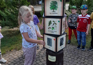 Grupka dzieci stoi przy grze Światowid "Drzewa leśne" na Ścieżce przyrodniczo-ekologicznej. Anastazja szuka kory dębu na obrazkach.