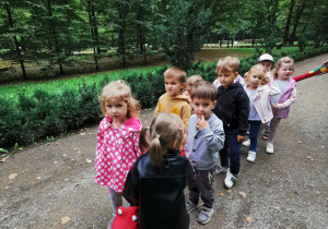 "Pszczółki" z pomocą węża spacerują w parku.