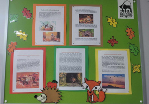 Na tablicy informacyjnej znajdują się materiały dotyczące zachowań zwierząt podczas jesieni. Przedszkolaki i ich rodzice mogli dowiedzieć się m.in. co to jest migracja i hibernacja zwierząt oraz jak pomóc zwierzętom przygotować się do zimy.