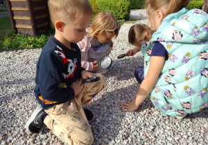 Grupa dzieci obserwuje mrówki z wykorzystaniem szkła powiększającego.