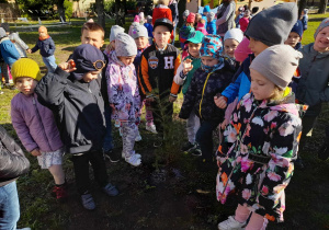 Dzieci stoją wokół posadzonego modrzewia w ogrodzie przedszkolnym.