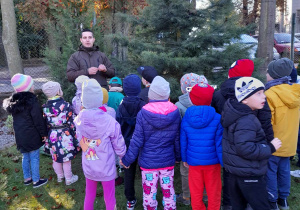 Pan leśnik stoi obok sosny w ogrodzie przedszkolnym. Dzieci odwrócone w stronę gościa słuchają informacji na temat drzewa.