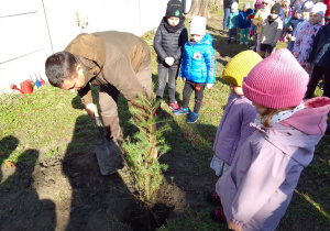 Dzieci i Pan leśnik sadzą drzewko modrzewiowe w ogrodzie przedszkolnym.