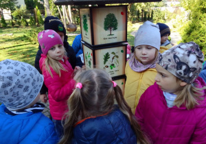 Biedronki zgromadzone wokół gry światowid „Drzewa” na ścieżce edukacyjnej w ogrodzie przedszkolnym.