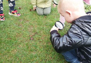 Fabian szuka mrówek z wykorzystaniem szkła powiększającego na trawie.
