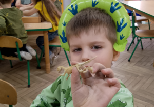 Mikołaj prezentuje szkielet dinozaura.