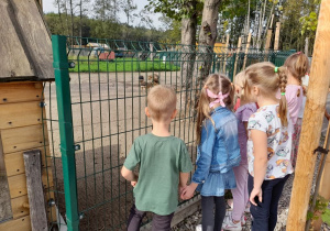 Grupka dzieci ogląda zwierzęta w mini zoo.