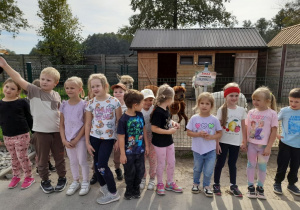 Dzieci podczas zwiedzania mini zoo stoją przed zagrodą alpak.