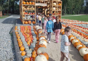 Dzieci idą pośród dyń do dyniowego domku.