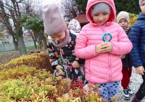 Wiktoria i Lena z lupami w rękach obserwują mrówki ukryte w liściach i na gałązkach krzewów. Z tyłu Patryk i Antek.