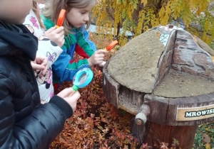 Antek, Julia i Wiktoria z lupami w rękach przy przyrządzie interaktywnym "Mrowisko".