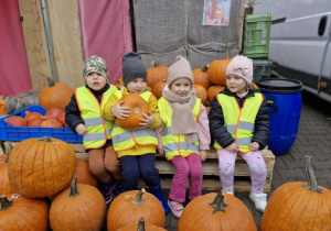 Lucjan, Szymon, Zuzia i Klara w sklepie warzywno-owocowym. Wokół dzieci widać mnóstwo dyń.