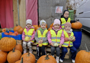 Maja S, Wojtuś, Maja K., Oliwka i Julek pozują do zdjęcia trzymając w rączkach dynie. Wokół dzieci rozłożonych jest jeszcze więcej dyń.