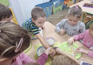 Przedszkolaki siedząc przy stoliku oddzielają od siebie różne gatunki fasoli.