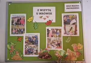 Na zdjęciu widać fotorelację z zajęć edukacyjnych przeprowadzony w punkcie dydaktycznym "Królestwo owadów".