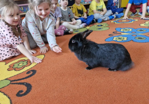 Zuzia i Maja wyciągają dłonie w kierunku kicającego króliczka.