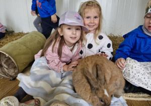 Zuzia i Alicja trzymają na kolanach pięknego rudego królika.