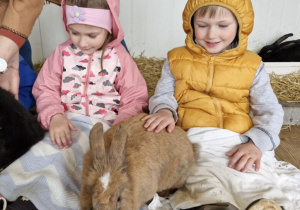 Oliwia i Wojtuś trzymają na kolanach czarnego królika.
