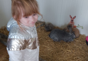 Jagoda w towarzystwie królika.
