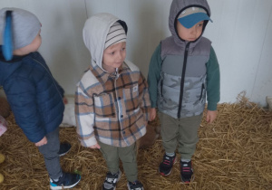 Emil, Tymek i Franek w króliczym domku.