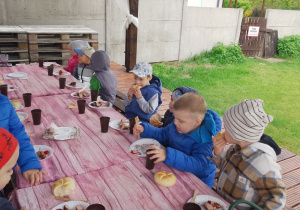 "Pszczółki" degustują kiełbaski przy stole.