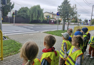 "Biedronki" obserwują działanie sygnalizatora świetlnego.