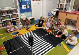 Zabawa tematyczna na dywanie. Dzieci siedzą przy macie przedstawiającą ulicę, a w ręku trzymają znaki drogowe.