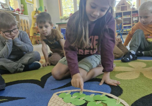 12.Oliwka przelicza zielone jabłka znajdujące się w koszyczku