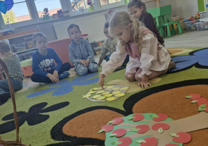 13.Ala przelicza żółte jabłuszka znajdujące się w koszyczku. Obok na dywanie leży jabłoń wycięta z papieru