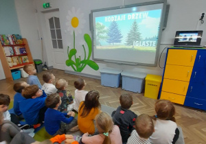 Dzieci siedzą przed tablicą multimedialną i oglądają film edukacyjny o drzewach.