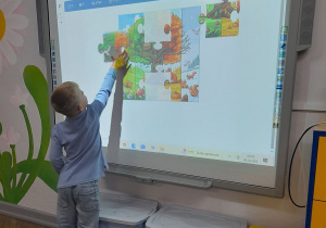 Wiktor układa na tablicy multimedialnej puzzle "Drzewo w czterech porach roku".