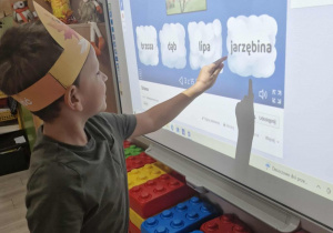 Zdjęcie 13 na 13