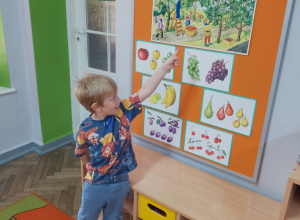 "Owocowe szaszłyki"