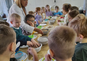 Dzieci podczas zajęć w laboratorium stoją wokół wspólnego stołu, na którym znajdują się talerzyki, sitka, ziarna pszenicy i żyta w miseczkach. Obok stoi Pani właścicielka młyna ubrana w biały fartuch.