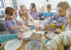 Grupka dzieci podczas zajęć w laboratorium dotyka mąki w miseczkach.