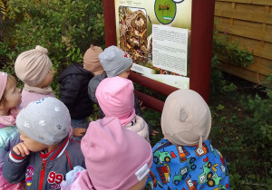 Grupa dzieci przed tablicą dydaktyczną „Mrowisko i jego mieszkańcy” słucha informacji na temat budowy mrówki oraz innych ciekawostek dotyczących ich życia.