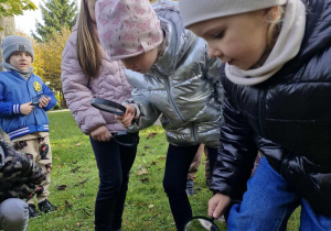 6.Dzieci z lupami w rączkach szukają mrowiska w ogrodzie przedszkolnym