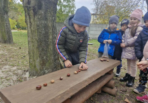 Franuś układa na ławce ciągi rytmów z kasztanów i orzechów.